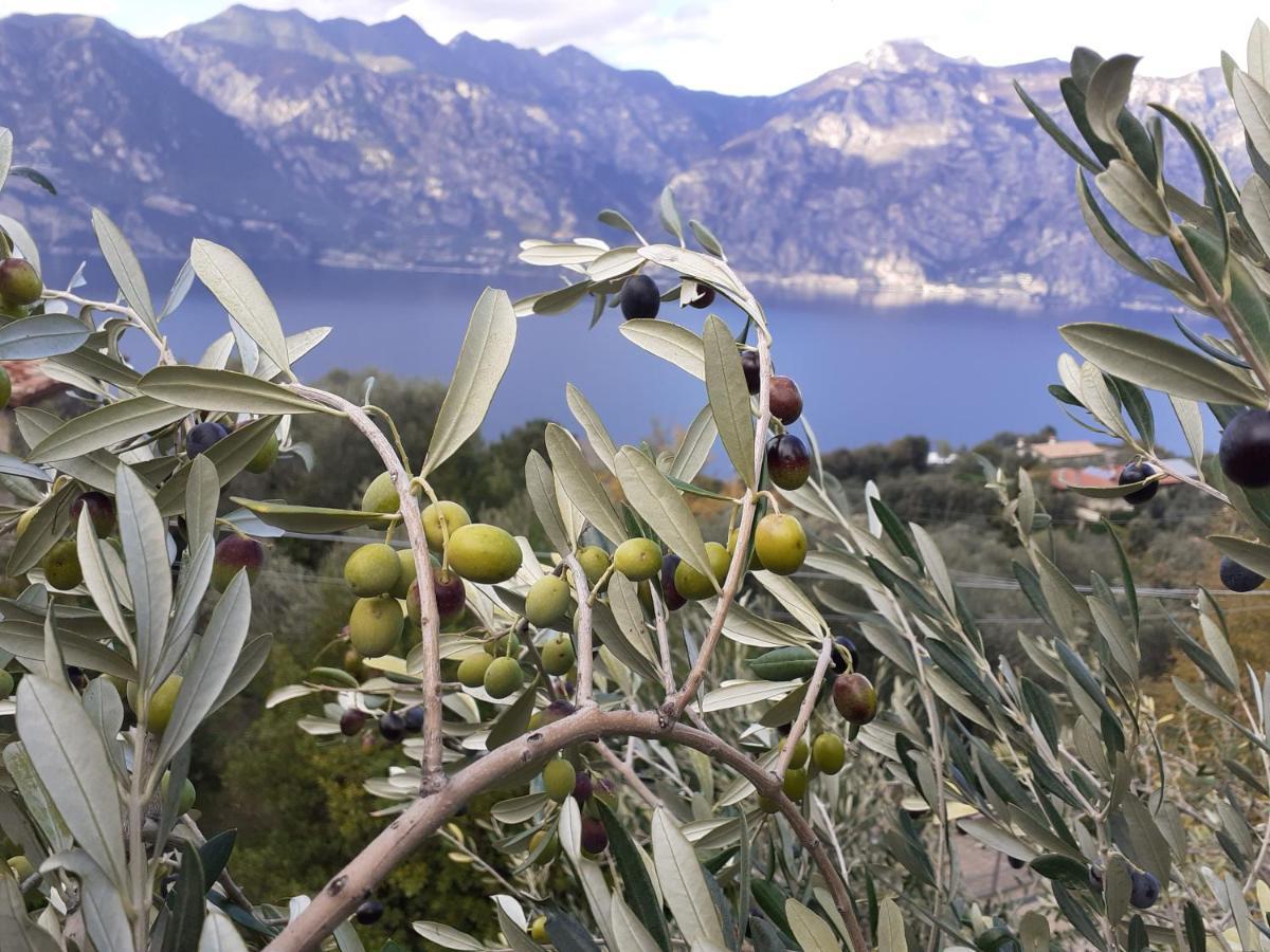 Appartamento Leccino Malcesine Exterior foto